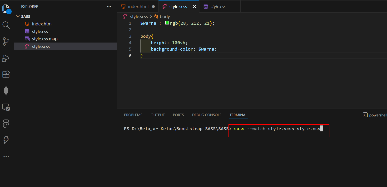 terminal run sass