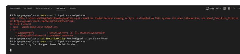error sass